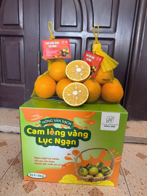 Cam lòng vàng Lục Ngạn - Hợp Tác Xã Dịch Vụ Nông Nghiệp Hằng Hiếu